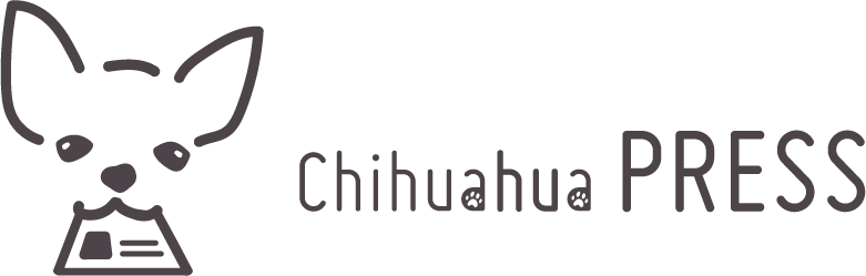 もっと見てみて 仕草で分かる チワワの気持ち Chihuahua Press チワワプレス