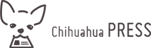 Chihuahua PRESS -チワワプレス-